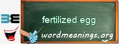 WordMeaning blackboard for fertilized egg